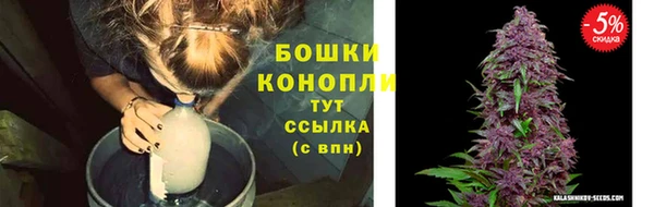 соль ск Гусь-Хрустальный